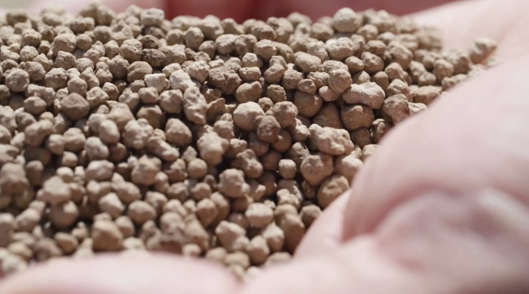 Hands holding a pile of fertilizer granules.